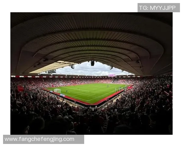 足球的魅力与激情：探索绿茵场上的传奇与梦想